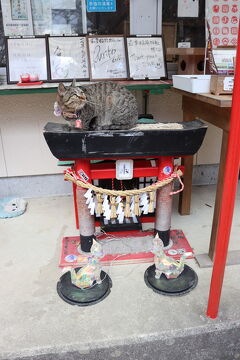 山形宮城旅行 3日目-2 津島神社、若草稲荷神社編