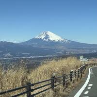 伊東に行くならハトヤ、強烈寒波の3日間