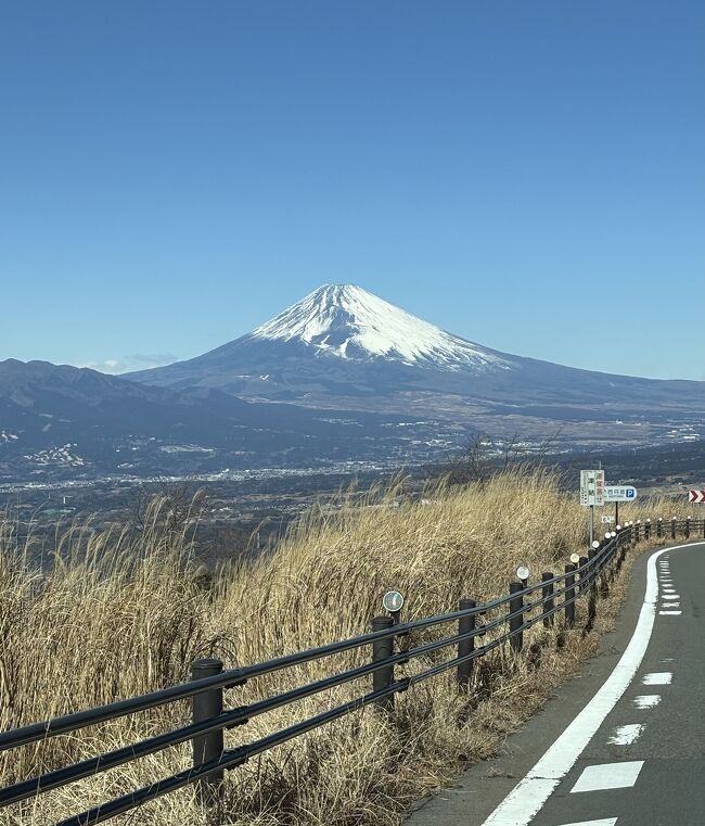 「伊東に行くならハ・ト・ヤ」のサンハトヤ<br />お魚の泳ぐ海底風呂や水着で遊べる温泉プール・・・行きたいと思ったことはありませんでしたが、孫を喜ばせたい一心で 生まれて初めて行くことにしました。<br />実際には「海底のような」ではなくて、アジのいけす的な大浴場でした(ウミガメとサメはいました)が、孫はみごとに大浴場恐怖症を克服できました。<br />プールの方は 深さが1.1mもあり、ジャグジーや打たせ湯など 健康ランド的?で、子供向けではないように思ったのですが、孫はとても気に入っていました。<br />そして昭和の遺産的なレストランシアター、ムーランルージュみたいでした。<br />強烈寒波でも 順調に過ごせていましたが、最終日「御殿場アウトレットに行きたい!」という娘に翻弄されてしまいました。<br />なぜかナビの設定を間違えて芦ノ湖スカイラインに入り、凍結道路情報にビビり、挙句の果てに アウトレットは年に1度の休館日!!<br />大寒波で小涌園を断念したはずのに、芦ノ湖に向かうなんて・・・。<br />「生命の星 地球博物館」なかなか面白かったのですが、ミニ企画展の「へび」よく見たらミニ企画展示で、へびの標本でした。<br />