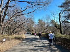 2025年2月 第50回森林公園完走マラソン大会