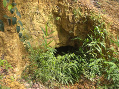 ガダルカナル、インパール、ビルマの戦いを通じ、マラリアの脅威を認識しました。