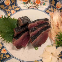 高知城と高知グルメ（チキン、カツオ、ウナギ）を満喫する１泊２日の旅②