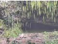アラ還夫婦の世界一周旅行　36～37日目