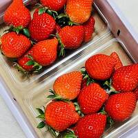 ふらっとドライブ　1泊2日　甲府湯村温泉・甲府記念日ホテルとあまりんを買いに秩父へ