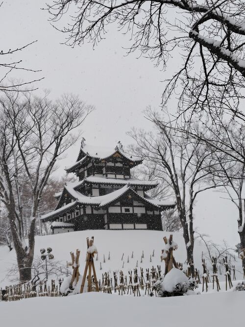 どうかしてるよ、雪』上越・直江津(新潟県)の旅行記・ブログ by りーこ