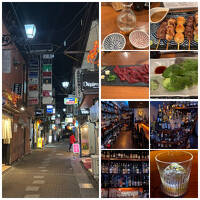 真冬の松本～上田～湯の丸スキー場～軽井沢の旅　④上田の夜は楽しいですね～～