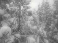 山形初上陸。せっかく冬に行くので樹氷みにいこう。