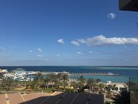 [4日目]紅海ハルガダにて悲劇のダイビングキャンセル、、砂漠・海で乗馬