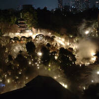 椿山荘で東京雲海　202501椿山荘①