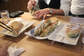 いちご狩りに栃木に行く旅 3日目 宇都宮編
