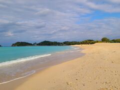 2025年2月 寒い沖縄に行ってきた②【道の駅巡り・大宜味シークヮーサーパーク】