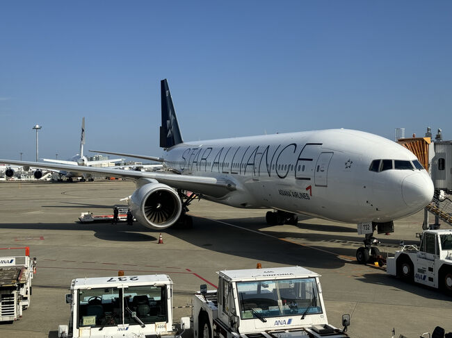 2024年8月 シンガポール航空でホーチミンから帰国した翌日に、これも安かったアシアナ航空仁川乗継でバンコクに行ってきました。<br />スワンナプーム国際空港では、初めてサテライトで発着でした。<br />復路で初めて韓国に入国しました。<br />バンコク滞在はほぼ日帰り状態でした。スワンナプーム国際空港で荷物預けを利用しました。<br />では、長いですが往路の様子をどうぞ。<br /><br />★《往路》<br />24/08/12 OZ103 成田(東京) 16:00発 仁川(ソウル) 18:35(+1)着 02K(C)<br />24/08/12 OZ743 仁川(ソウル) 20:40発 バンコク 00:40(+1)着 04A(C)<br />《復路》<br />24/08/14 OZ742 バンコク 01:10発 仁川(ソウル) 08:50着 03K(C)<br />24/08/14 OZ104 仁川(ソウル) 12:15発 成田(東京) 14:40着 03A(C)<br /><br />《訪問ラウンジ》<br />【成田国際空港】<br />★肉料理 やきすき やんま(PP)<br />★JAPANESE GRILL & CRAFT BEER TATSU(PP)<br />★ANAスイートラウンジ<br />【仁川国際空港】<br />★Asiana Loung Business East<br />★Asiana Loung Business Class Central<br />・Matina Lounge(PP)<br />・SKY HUB LOUNG(PP)<br />【スワンナプーム国際空港】<br /><国際線コンコースD><br />・THAI Royal Orchid Lounge<br /><サテライト><br />・MIRACLE LOUNGE-FIRST CLASS(PP)<br /><br />《宿泊》<br />・ザ コテージ スワンナブーム 8/12