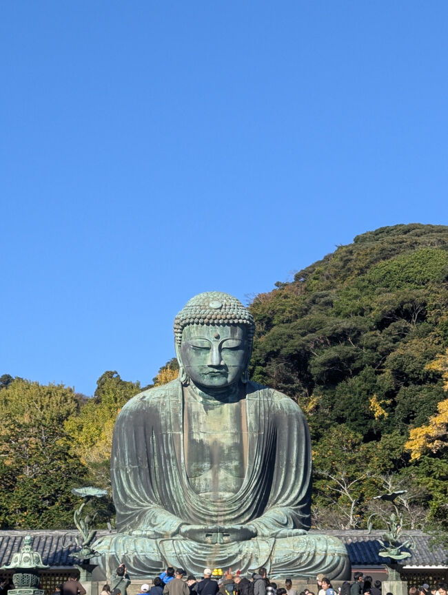 土曜日横浜での予定の翌日<br />せっかくなので鎌倉散策へ<br /><br />移動時間を考えるとあまり散策できなかったけれど<br />久しぶりの大仏<br />鎌倉の海<br />美味しいおさかな堪能しました<br /><br />