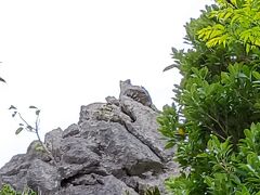 2025年2月 寒い沖縄に行ってきた③【マングローブカヤック・辺戸岬・アスムイハイクス】