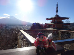 トキちゃん＆美織ちゃんの旅日記　富士・河口湖ふたたび　前編 #101