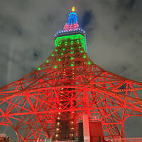 POINT宿泊し東京タワー見物
