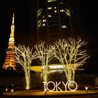 2025年冬 ザ・プリンスパークタワー東京に泊まる