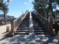 草加松原 草加宿から都県境を越えて竹ノ塚まで歩く&#128095;