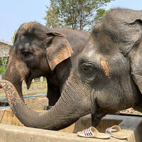 タイ・バンコク、チェンライ、チェンマイ、クラビへの旅　４．チェンマイ