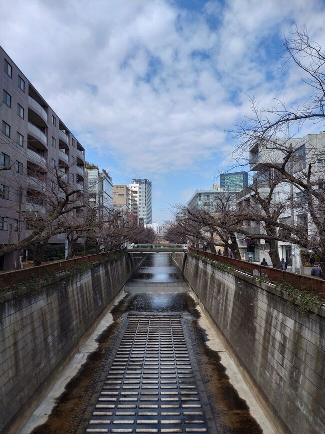 今回は、目黒駅開業140周年記念イベントの一つで、目黒川周辺の駅からハイキング。<br />目黒、恵比寿、池尻大橋、祐天寺、中目黒とおしゃれで趣のある街を、楽しく練り歩きました。