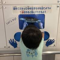 母子(年少息子)の沖縄2人旅