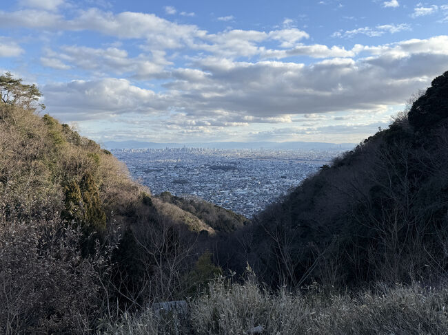 今年の冬は寒い。。。