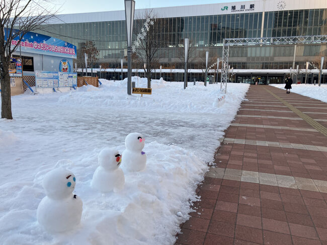 大人の休日倶楽部パス②（札幌→稚内→旭川→網走）
