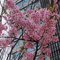 カバーズフェス&食と農エールコンサート