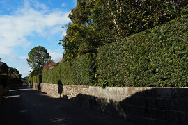 ふらっと立ち飲みしながら幕末の雄藩：薩摩藩の功績を辿るゆるり旅 in 鹿児島★2024-2025　04　4日目【南九州⇒指宿】