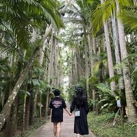 ほぼマイルで行く沖縄家族旅行　その２　沖縄に癒される