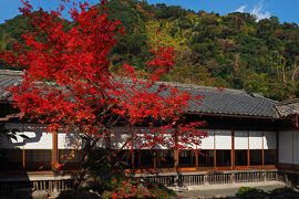 ふらっと立ち飲みしながら幕末の雄藩：薩摩藩の功績を辿るゆるり旅 in 鹿児島★2024-2025　07　6日目【鹿児島】