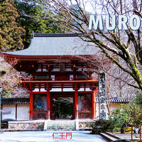 ☆久しぶりの女子旅＆一人旅はプチ豪華且つチョットお得に☆⑤　室生寺