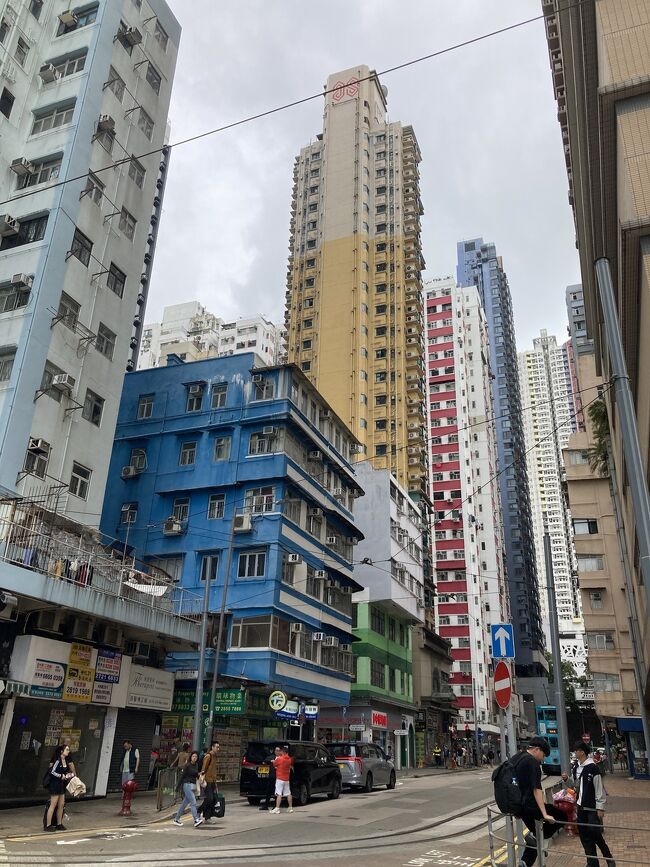 3回目の香港。<br />2024.9月に20年ぶりの香港に行ってみて、すっかり香港の魅力に取り憑かれました。<br />次はいつ行けるかな~と航空券サーチをしていたら、9月よりもっとお手頃チケット発見!<br />前回行けなかった故宮博物館、もうすぐ取り壊しのレインボーマンション、街中アート巡りを楽しんできました。<br /><br />【旅行経費】<br />・航空券 往復:香港エクスプレス 27,550円(Trip.com)<br />・ホテル Woody House 約14,000円(Agoda)<br />・合計 41,550円/人
