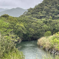 怒涛？の奄美大島　２日目