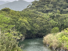 怒涛？の奄美大島　２日目