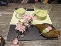 ほぼ10年ぶり4度目のトルコの旅♪ANAでイスタンブールまで移動し国内線でデニズリへ