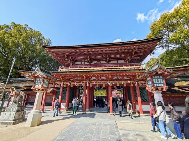 今回、博多グルメを食べたくなったので福岡へ旅立ちました。<br /><br />福岡は初めて訪れる地。<br />さすが九州一の都会ということもあって、栄えてますね!<br />好天にも恵まれ、美味しいものも食べれて最高の旅になりました!