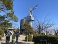 ピンク色の「早咲き河津桜」を眺めて、一足早い春の訪れを感じながら歩こうに参加