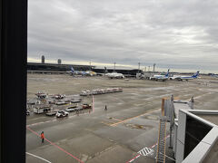 成田空港ラウンジ。