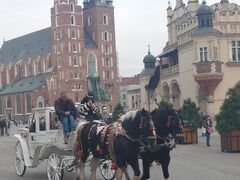 【世界遺産巡り】ポーランド　クラクフへの旅　初日～3日目