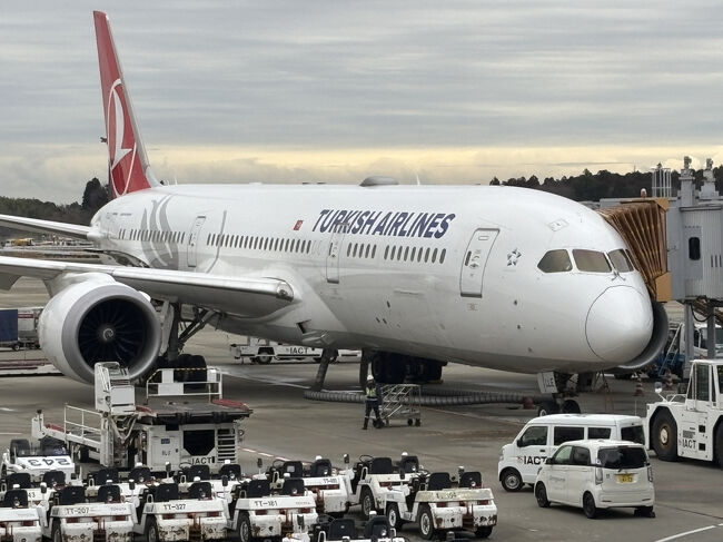 評判の航空会社、ターキッシュエアラインズを利用して旅行することにしました。<br />往復、イスタンブール空港で乗り継ぎになり、その際にラウンジを利用しましたので、その様子を紹介します。