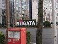 初新潟さるく ３月入っても北はさみい
