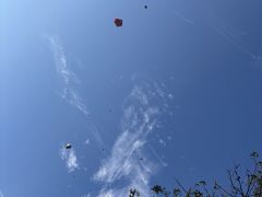 台北歩き旅4(大安森林公園とカフェとファストフード)