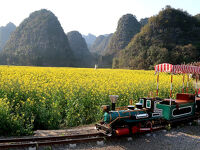 団塊夫婦の中国南部絶景の旅・２０２５－（１）出発から菜の花満開の万峰林風景区へ