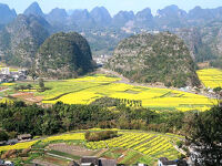 団塊夫婦の中国南部絶景の旅・２０２５－（２）万峰林風景区をカートで観光