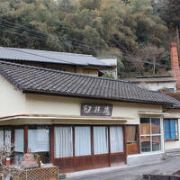 別府*湯の旅♪前編【のぞみ⇒特急ソニック乗車，国宝 臼杵石仏・杵築城・亀の井ホテル 別府】