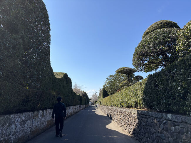 幼少時に訪れたような気がしますがあまり記憶になく、ほぼ初旅行といってもいい鹿児島。<br />夫が私をどうしても連れて行きたかった知覧特攻平和会館と、私が行きたかった指宿の砂蒸し温泉をメインに、あとは出発直前にネットで調べて行先決めました。<br />①は初日の知覧と初日泊まった指宿の旅館<br />②は2日目の指宿砂蒸し温泉と薩摩半島めぐり、鹿児島天文館の夜<br />③は3日目の桜島観光と雪の霧島アートの森