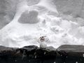 「どこかにビューーン」で奥信濃から長野　野沢温泉篇