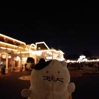 2025年2月【TDR2泊3日】ホテルエミオン東京ベイ泊