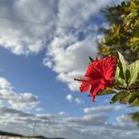 2024-2025カウントダウン宮古列島への旅【1日目】